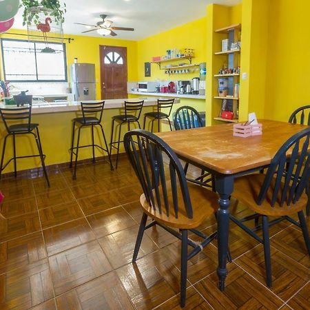 바야돌리드 Casa Flamingo 아파트 외부 사진